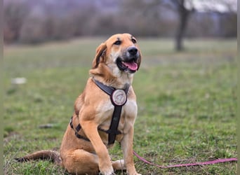 Eda- verspielte Riesin