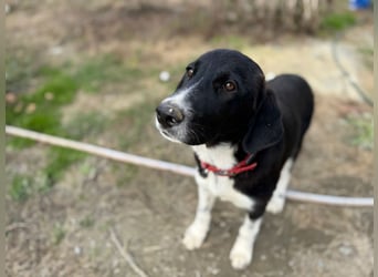 Mr. Big - kleiner Schauspieler mit großem Herzen