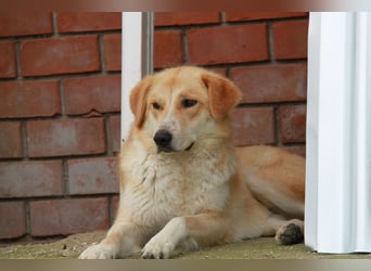 Blanca – sanfte Beobachterin mit großem Herz