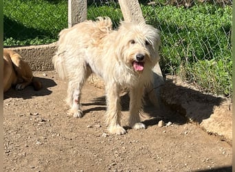 Angel – unser Engel sucht ihr Glück