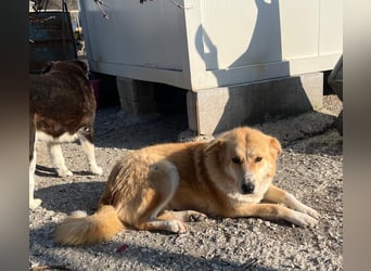 Blanca – sanfte Beobachterin mit großem Herz