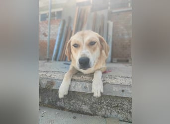 Blanca – sanfte Beobachterin mit großem Herz