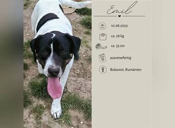 EMIL wünscht sich eine liebe Familie