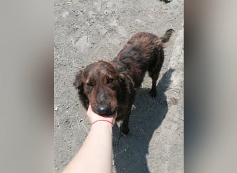 SUCKI sucht ein liebes Zuhause