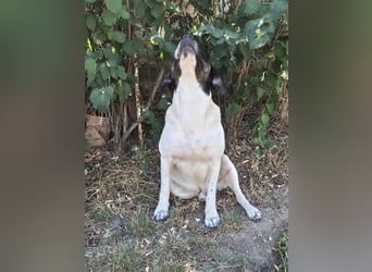 EMIL wünscht sich eine liebe Familie