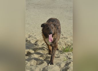 SUCKI sucht ein liebes Zuhause
