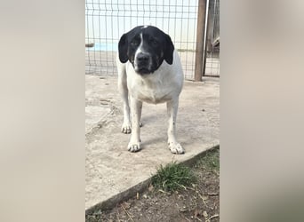 EMIL wünscht sich eine liebe Familie