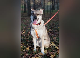 Sanfte Vivien sucht liebevolles Zuhause