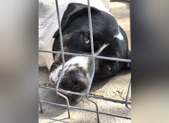 EMIL wünscht sich eine liebe Familie