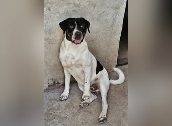 EMIL wünscht sich eine liebe Familie