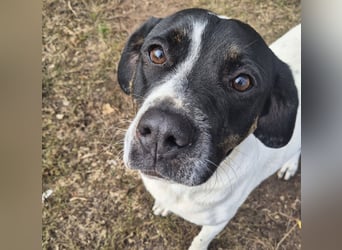EMIL wünscht sich eine liebe Familie