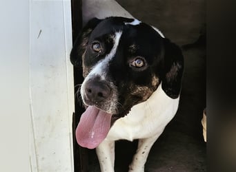 EMIL wünscht sich eine liebe Familie