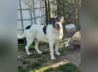 EMIL wünscht sich eine liebe Familie