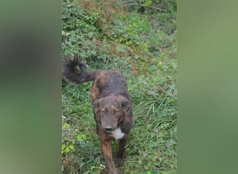 SUCKI sucht ein liebes Zuhause
