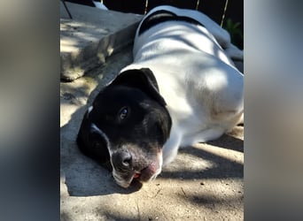 EMIL wünscht sich eine liebe Familie