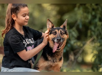 Hübscher Vegas sucht seine Familie