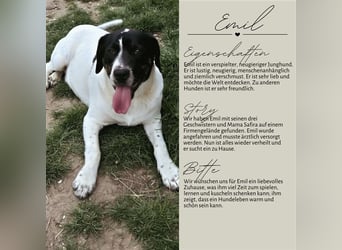 EMIL wünscht sich eine liebe Familie