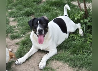 EMIL wünscht sich eine liebe Familie