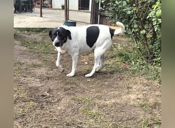 EMIL wünscht sich eine liebe Familie