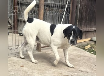 EMIL wünscht sich eine liebe Familie