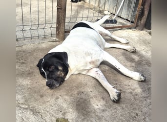 EMIL wünscht sich eine liebe Familie