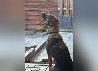 Kassandra – vorsichtige Schönheit sucht ihren Herzensmenschen