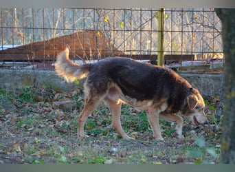 Notfall Senior sucht seine Menschen