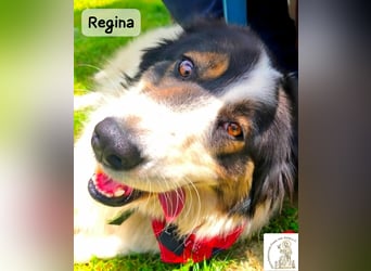 Regina – sie wollte nie allein sein!