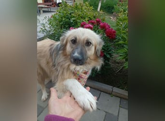 Malta – eine Lady auf dem Weg ins neue Leben!