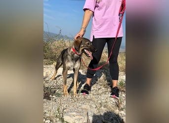 Kassandra – vorsichtige Schönheit sucht ihren Herzensmenschen