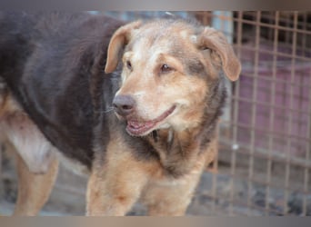 Notfall Senior sucht seine Menschen