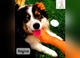 Regina – sie wollte nie allein sein!