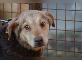 Notfall Senior sucht seine Menschen