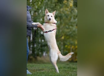 Soziale Grace sucht ihre Familie