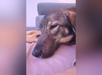 Kassandra – vorsichtige Schönheit sucht ihren Herzensmenschen