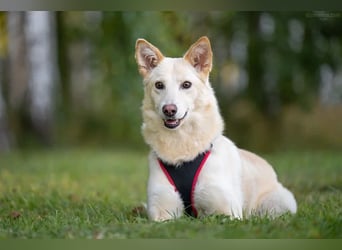 Soziale Grace sucht ihre Familie