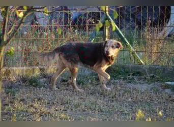 Notfall Senior sucht seine Menschen