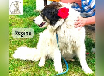 Regina – sie wollte nie allein sein!