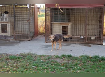 Notfall Senior sucht seine Menschen