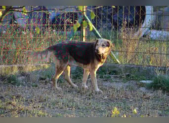 Notfall Senior sucht seine Menschen