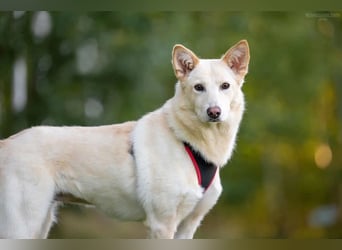 Soziale Grace sucht ihre Familie