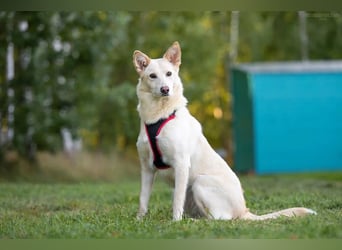 Soziale Grace sucht ihre Familie