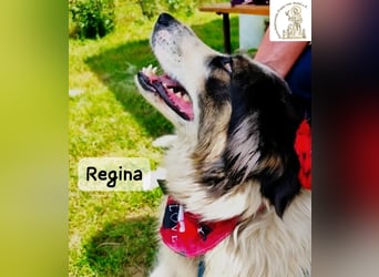 Regina – sie wollte nie allein sein!