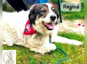 Regina – sie wollte nie allein sein!