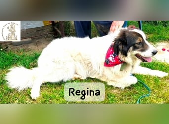 Regina – sie wollte nie allein sein!