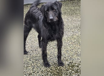 Schenkst du Naomi ein Leben, in dem sie endlich dazugehören darf?