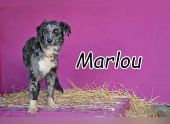 Gibst du Marlou endlich die Chance auf ein Leben voller Wärme