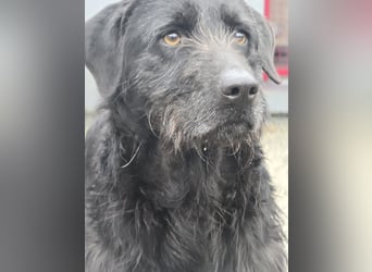 Schenkst du Naomi ein Leben, in dem sie endlich dazugehören darf?