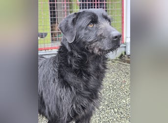 Schenkst du Naomi ein Leben, in dem sie endlich dazugehören darf?