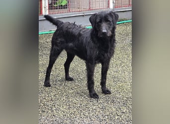 Schenkst du Naomi ein Leben, in dem sie endlich dazugehören darf?